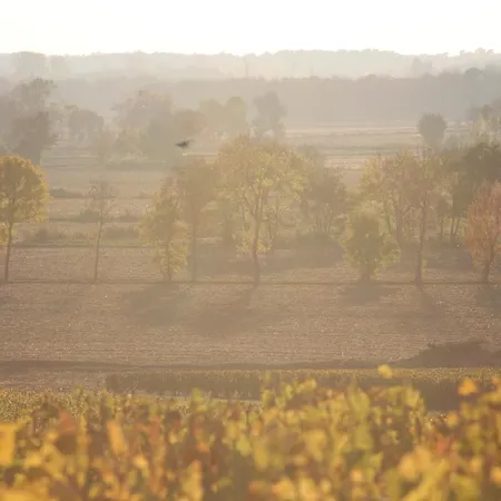 Holiday Rue Des Vignerons 펜션 Saint-Estèphe
